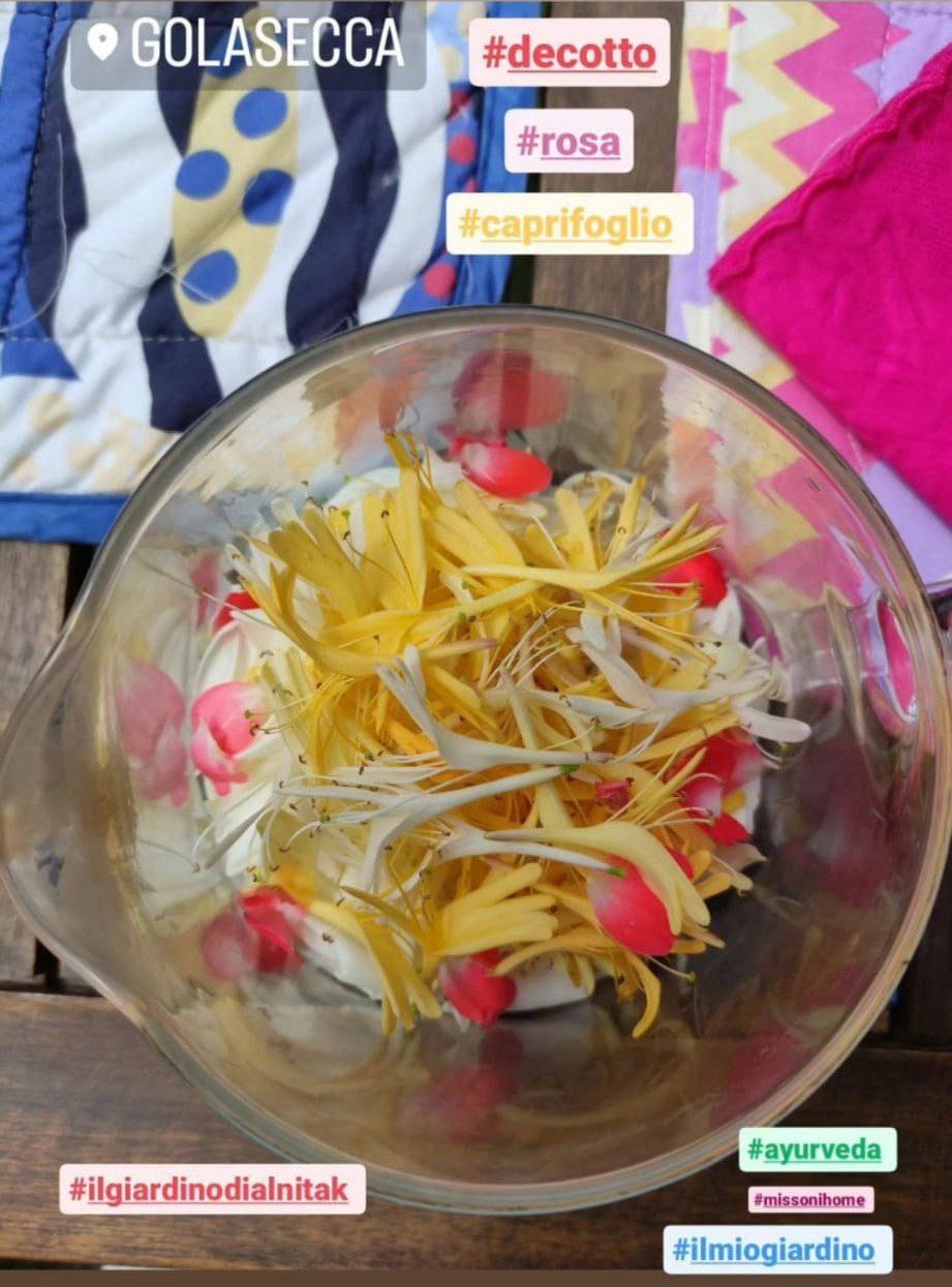 What is a decoction? (a free recipe included)